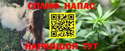 мдпв Обь