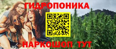 мдпв Обь