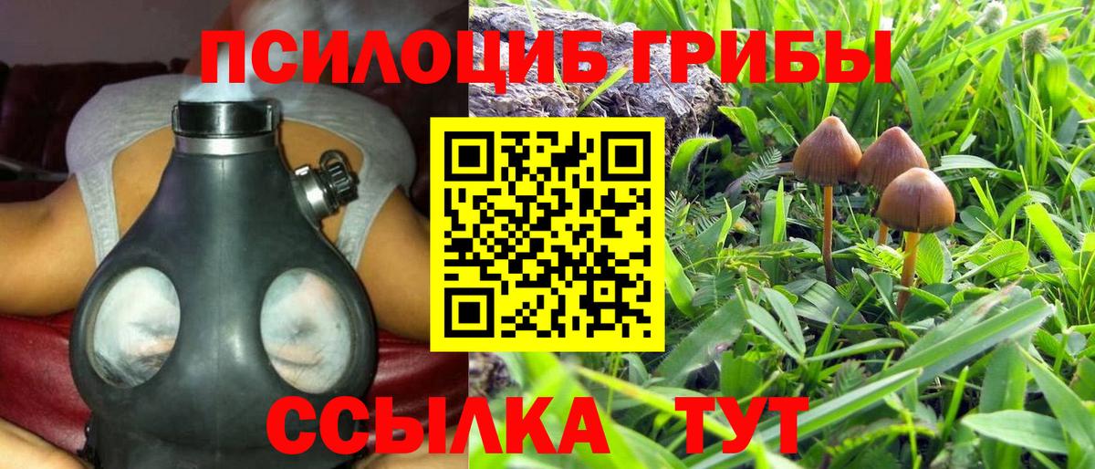 Псилоцибиновые грибы мицелий Сегежа
