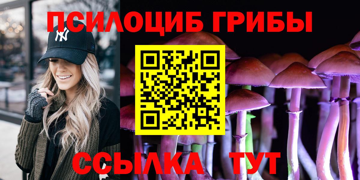 Псилоцибиновые грибы Psilocybe  Вход с VPN  Сегежа 