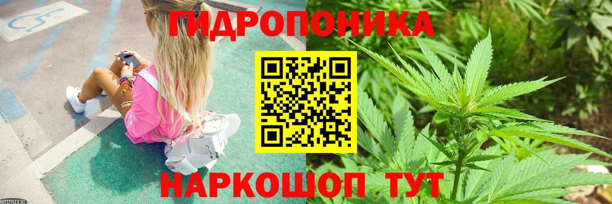 Канабис план  Марихуана White Widow  Сегежа  Канабис план  Вход с VPN 